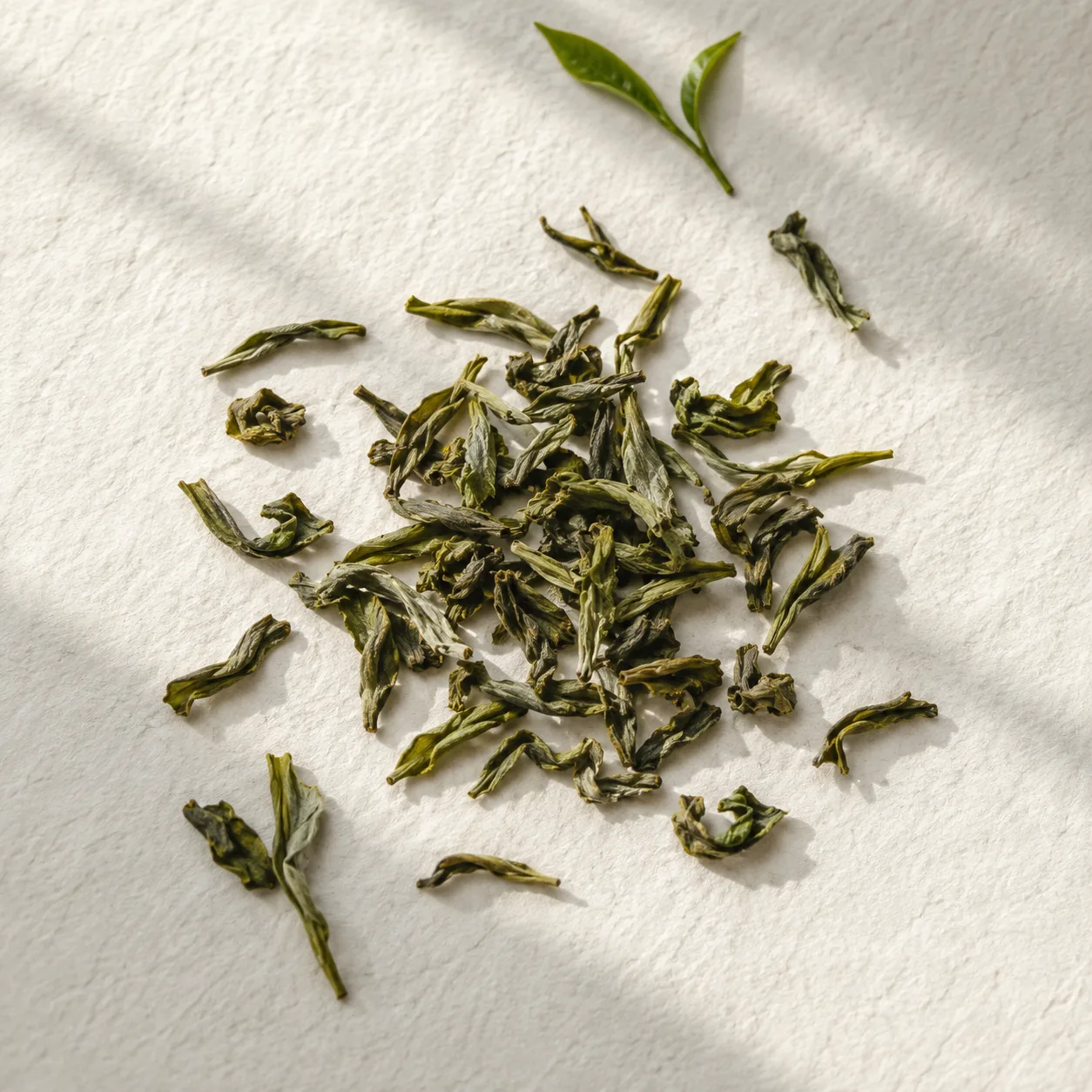 Whole loose leaves of Royal Summer Green